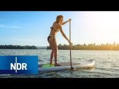 Stand-up-Paddling: Sport für den Rücken